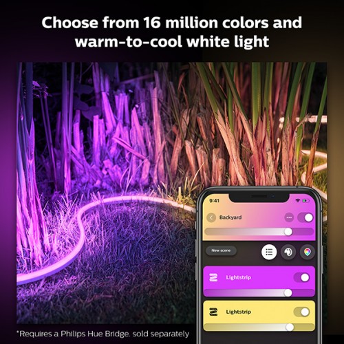 Philips Hue